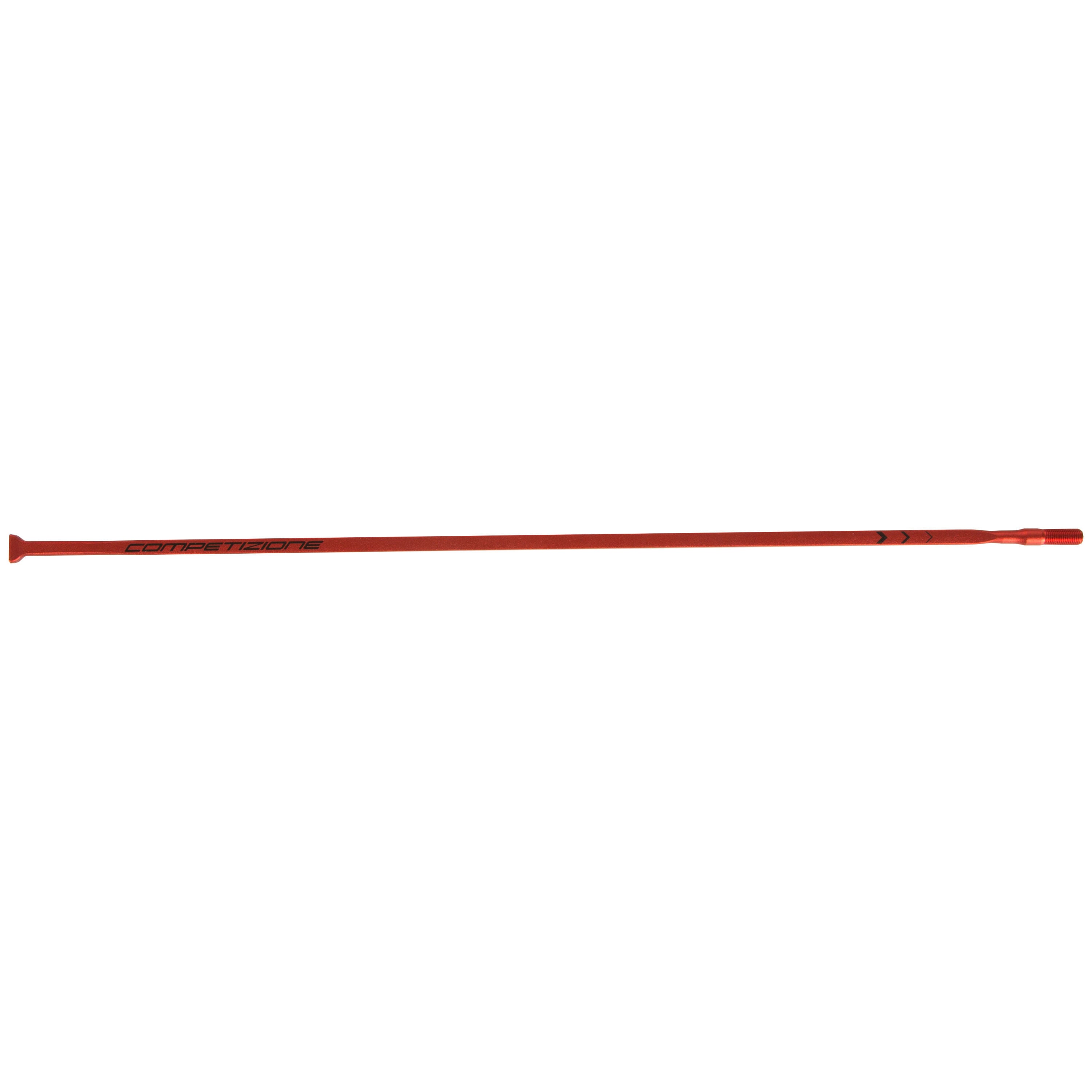 Fulcrum Racing Zero / Competizione rear left spoke
