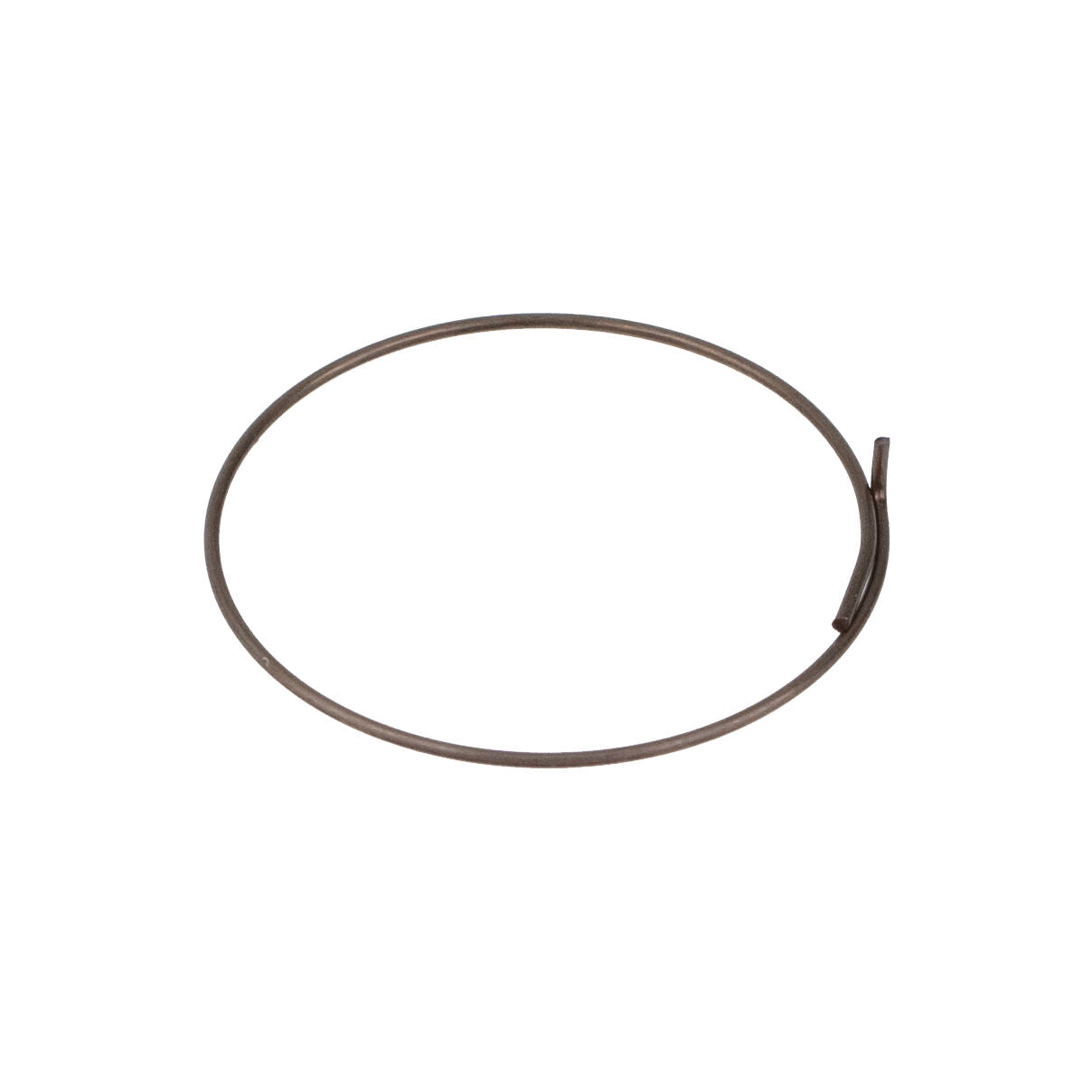 Fulcrum R1-015 pawl spring