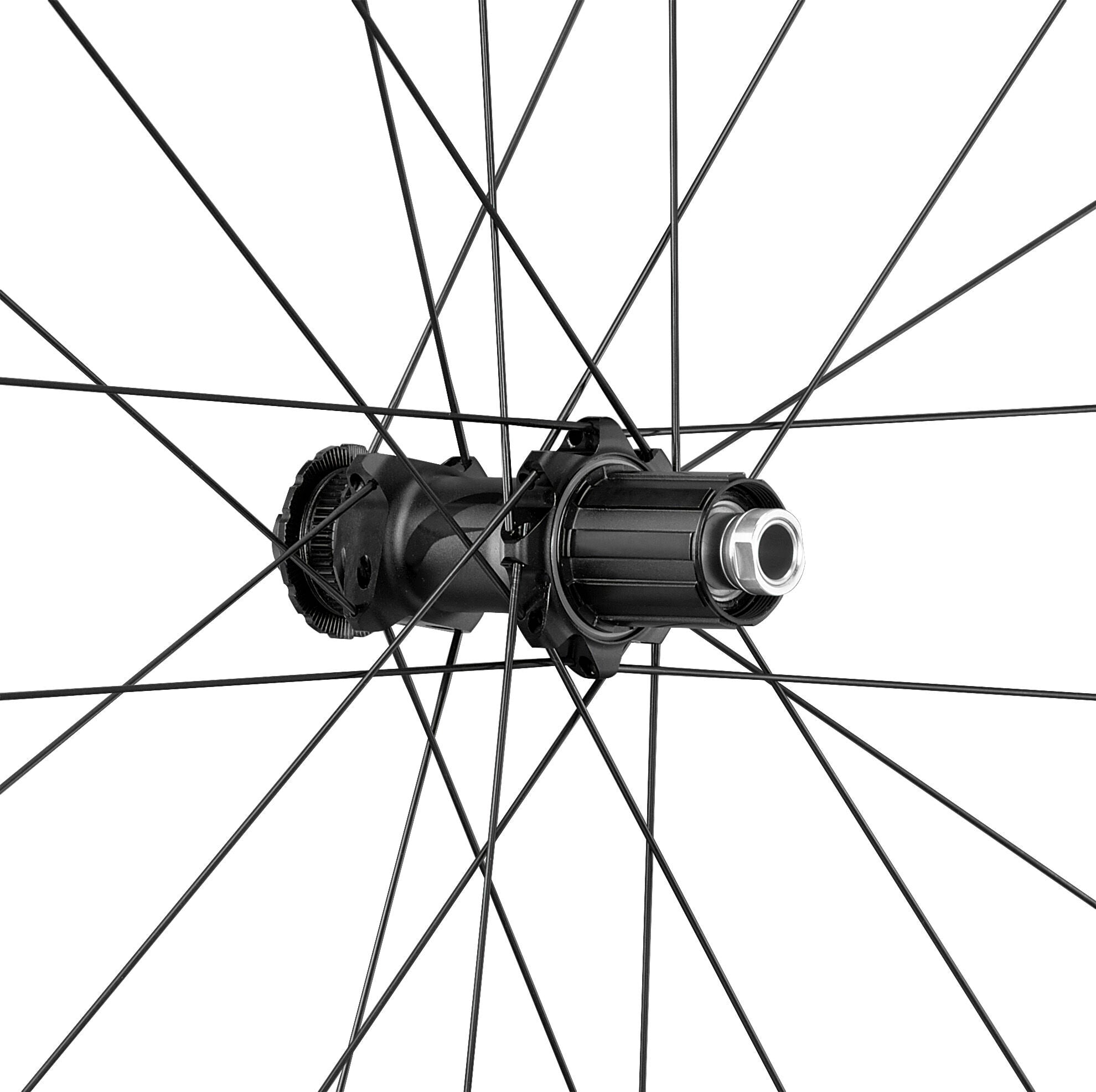 Fulcrum Rapid Red 3 DB 24C 2 Way Fit Ready AFS rear wheel
