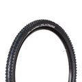 Schwalbe Racing Ray Evo TL-Easy Super Ground Addix Speedgrip 29"