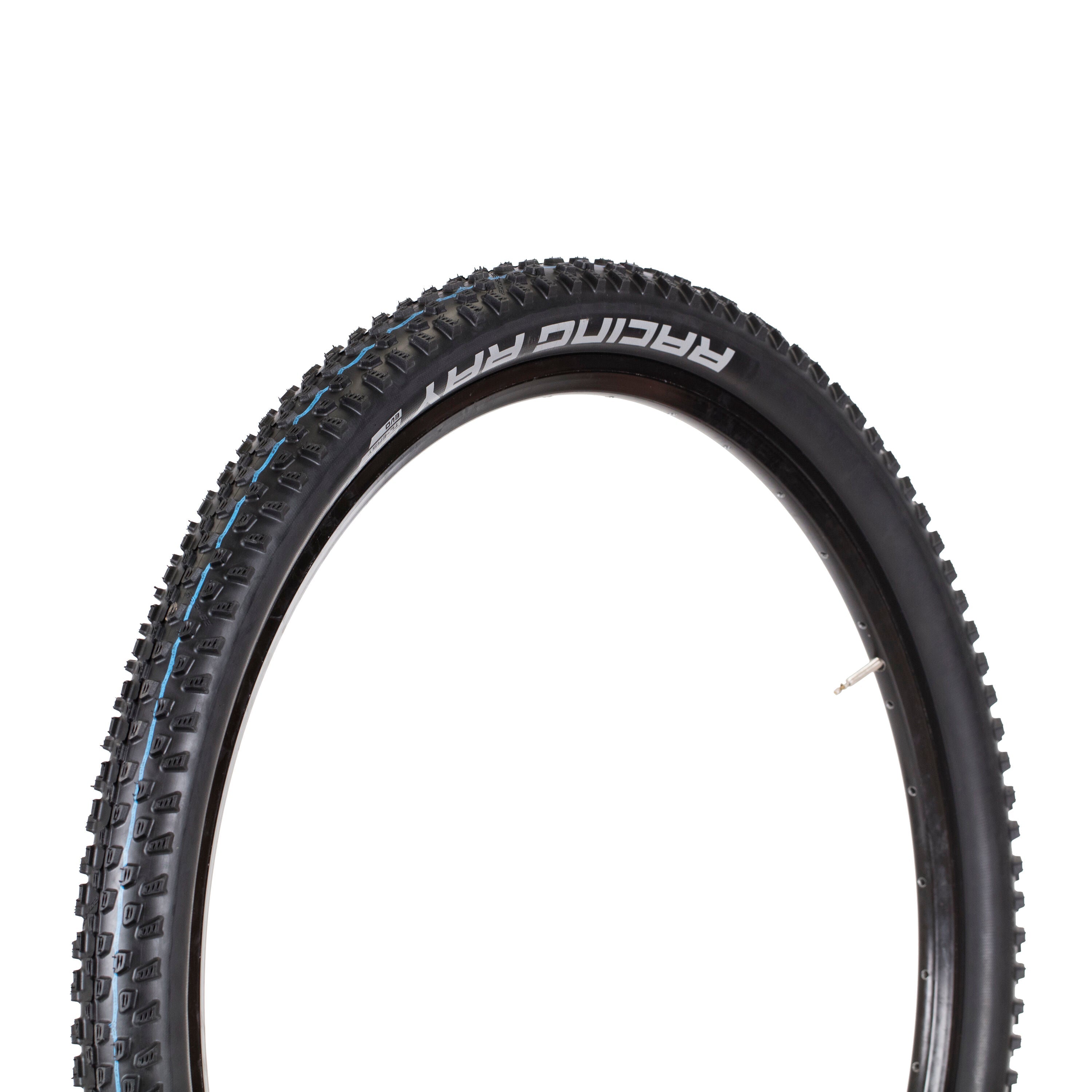 Schwalbe Racing Ray Evo TL-Easy Super Ground Addix Speedgrip 29"