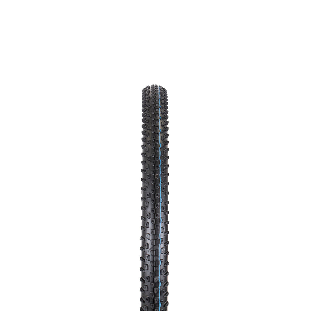 Schwalbe Racing Ray Evo TL-Easy Super Ground Addix Speedgrip 29"