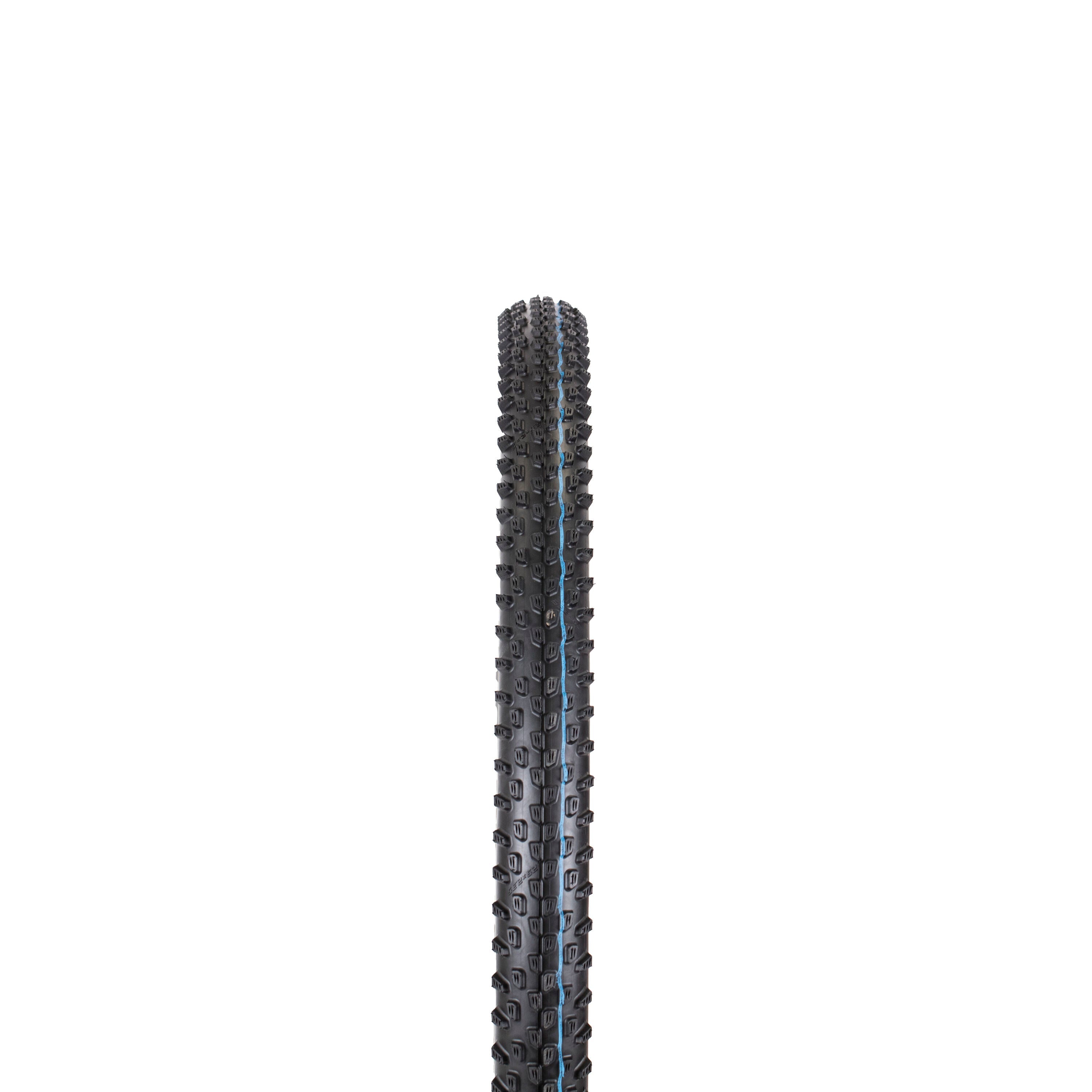 Schwalbe Racing Ray Evo TL-Easy Super Ground Addix Speedgrip 29"
