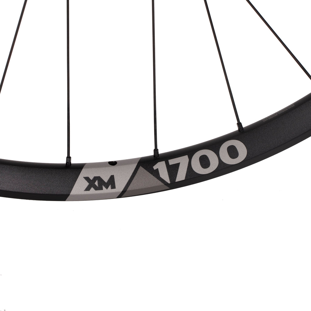 DT Swiss XM 1700 Spline 30 29" Boost Tubeless Ready rear wheel