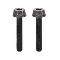 Campagnolo Flat Mount brake caliper mounting bolts