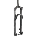 DT Swiss F 535 One Incontrol Plushport 29" Boost tapered rake 51 mm