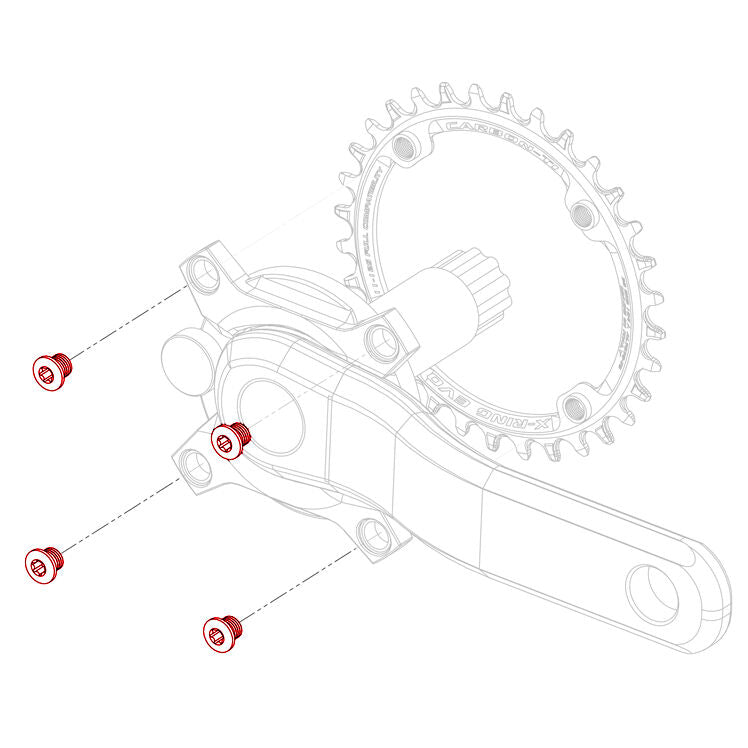 Carbon Ti X-Fix X-Ring EVO chainring fixing bolts