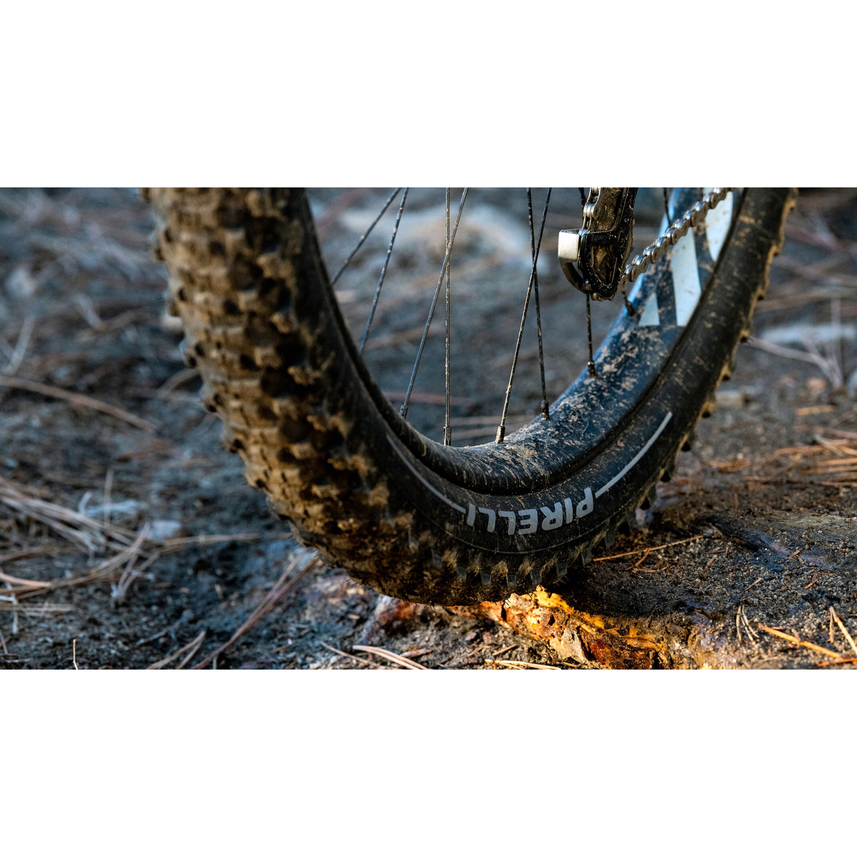 Pirelli Scorpion Trail R 29" tire