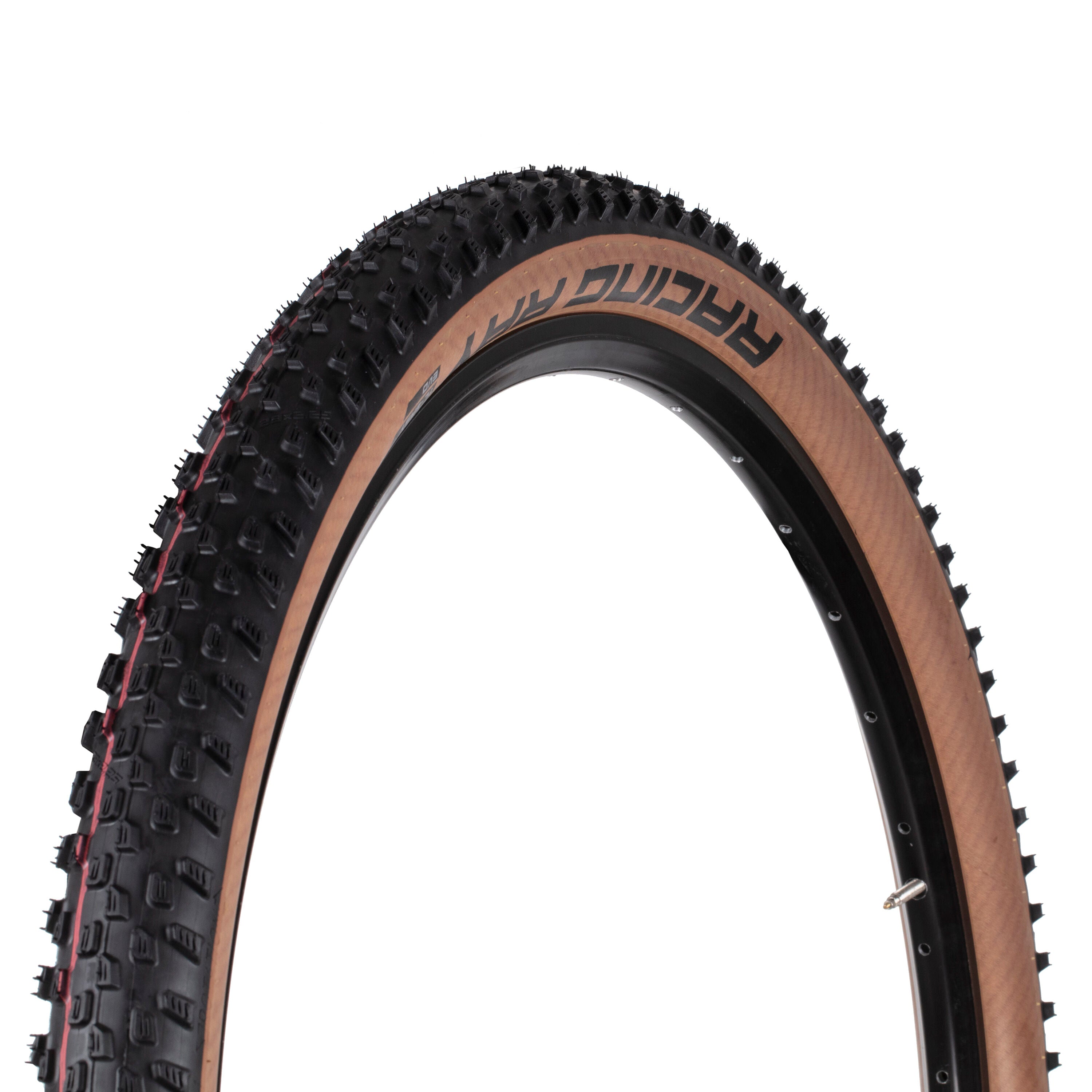 Schwalbe Racing Ray Evo TL-Easy Super Race Addix Speed 29"
