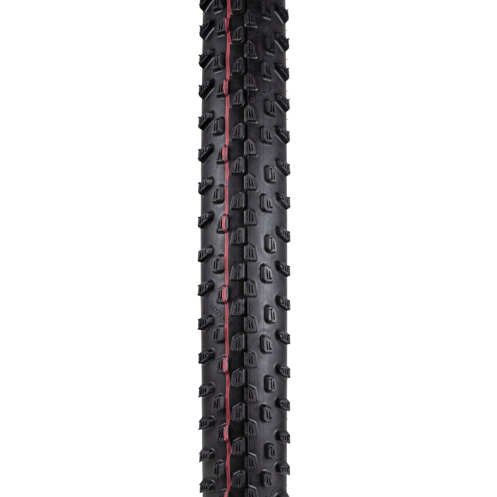Schwalbe Racing Ray Evo TL-Easy Super Race Addix Speed 29"