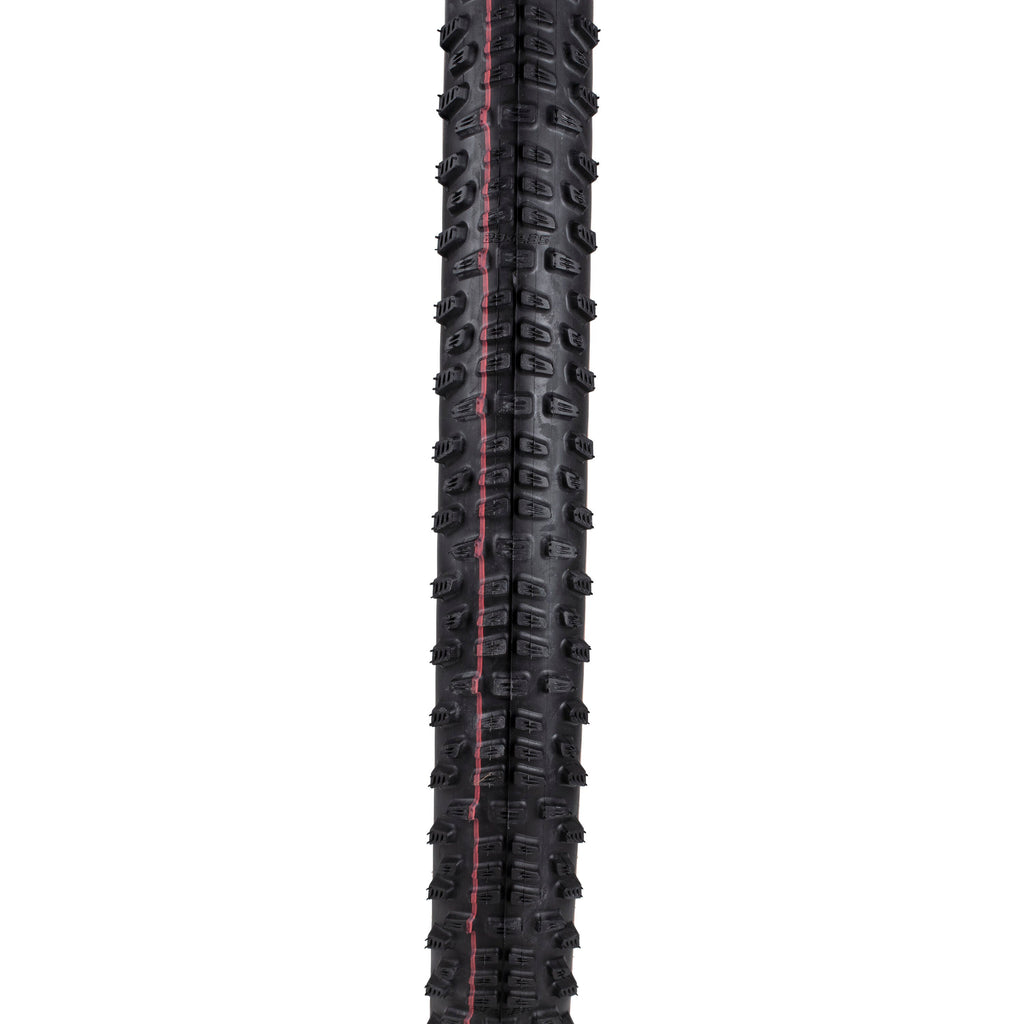Schwalbe Racing Ralph Evo TL-Easy Super Race Addix Speed 29"