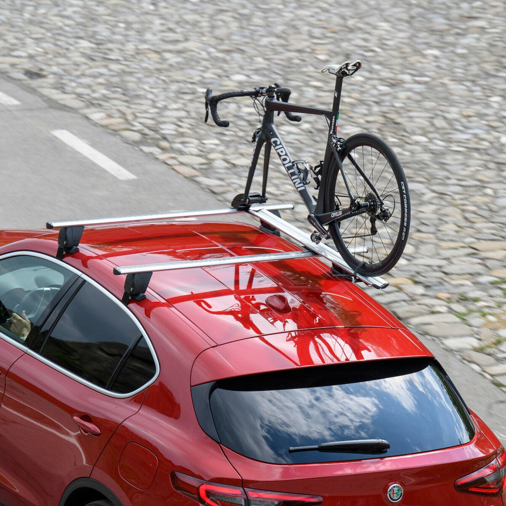 Menabò Pro Tour roof bike carrier