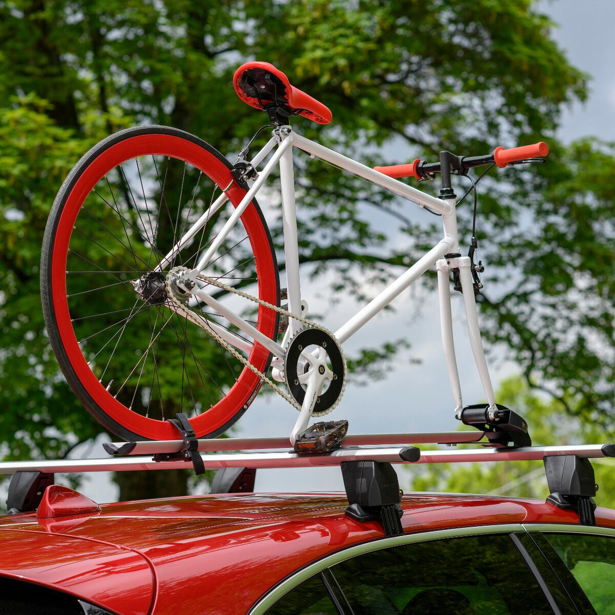 Menabò Pro Tour roof bike carrier