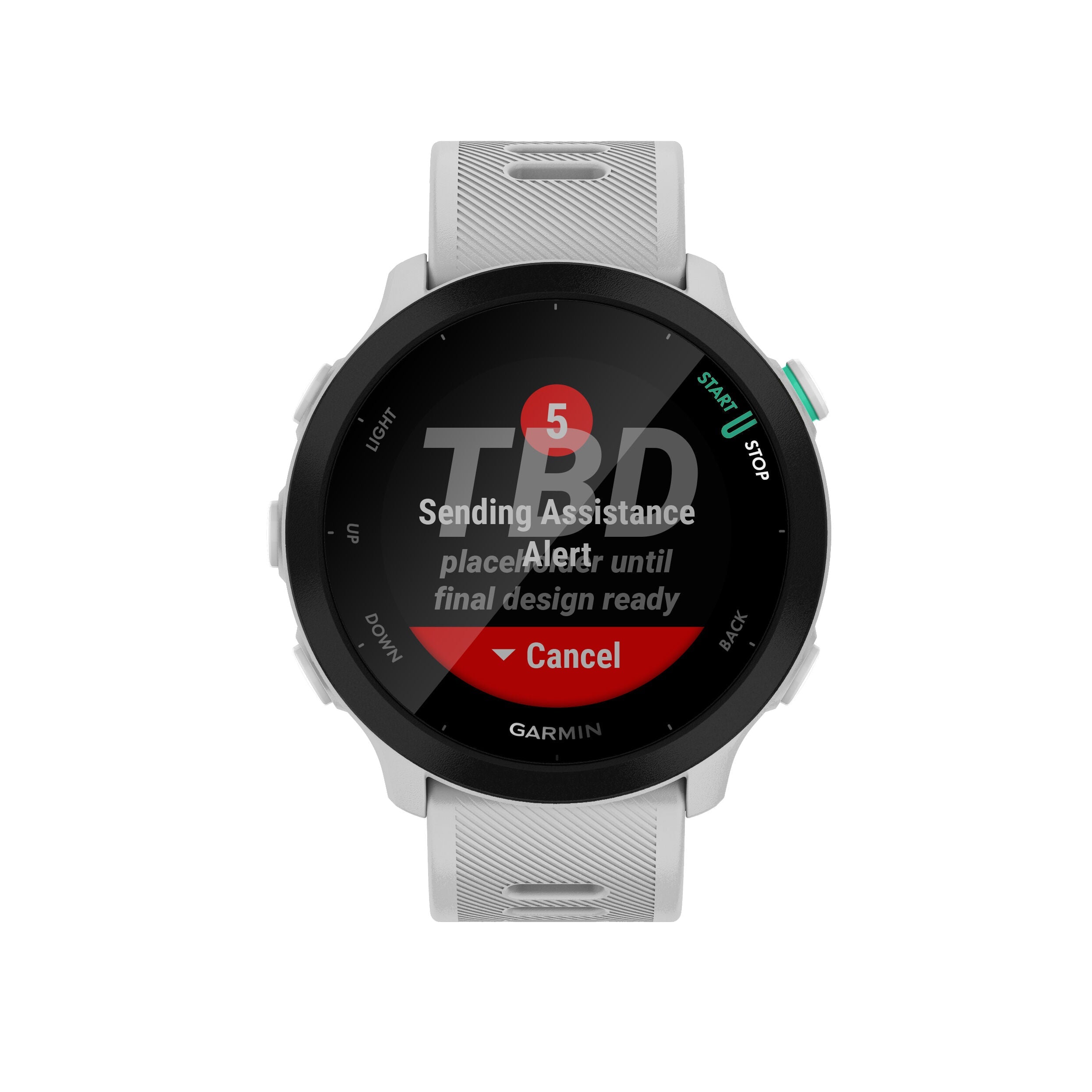 Garmin Forerunner 55 watch