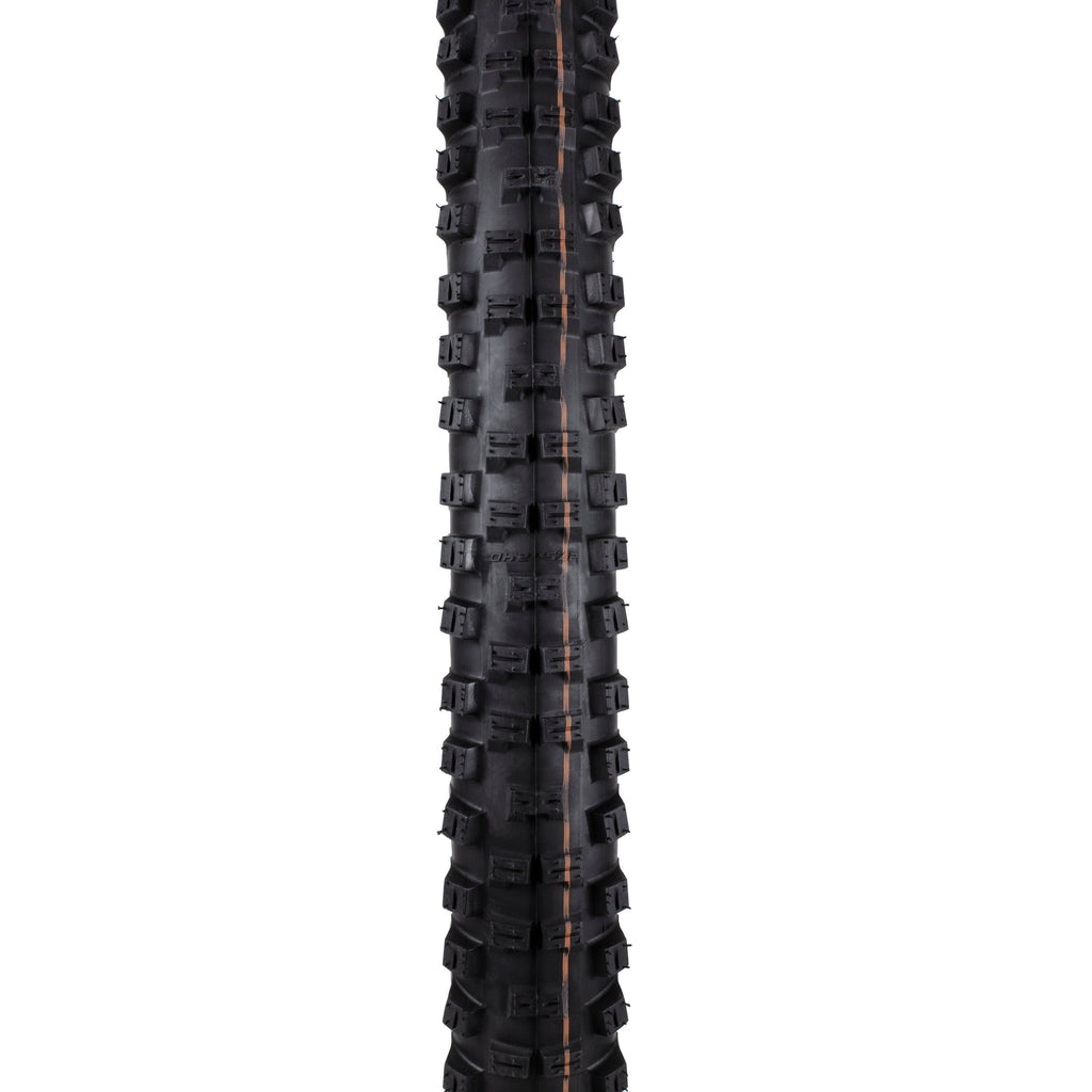 Schwalbe Big Betty TL-Easy Super Gravity Addix Soft 29" tyre