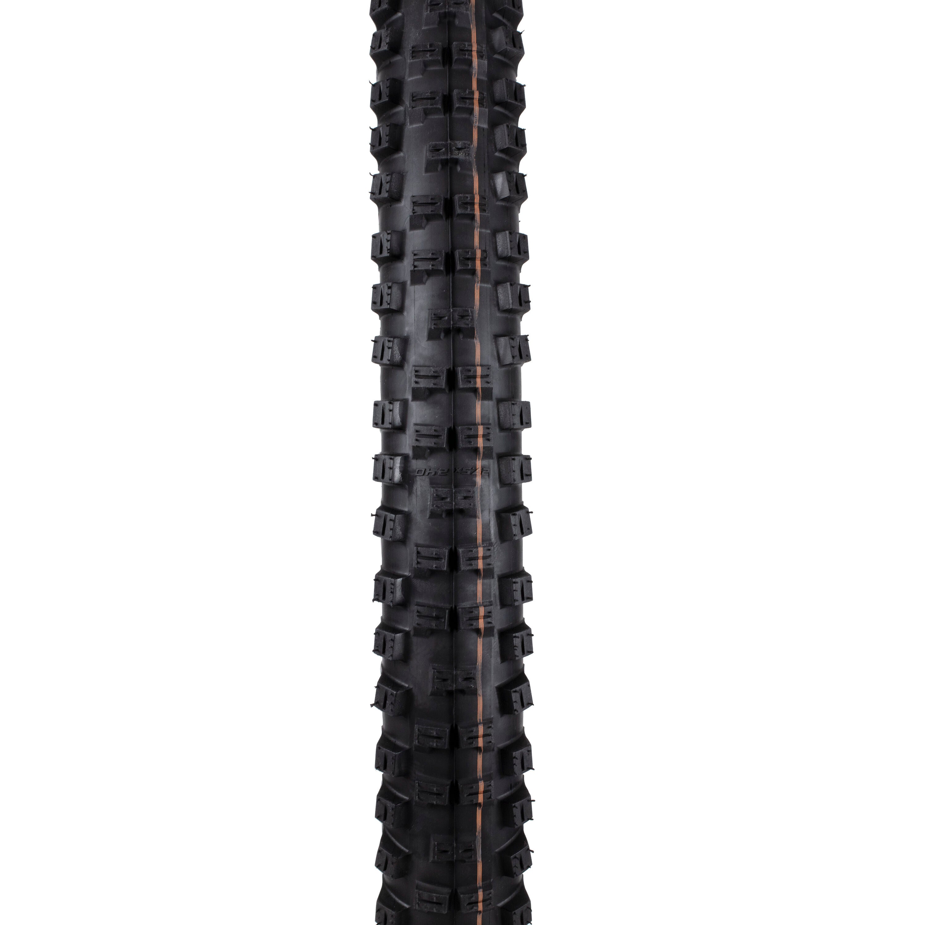 Schwalbe Big Betty TL-Easy Super Gravity Addix Soft 29" tyre