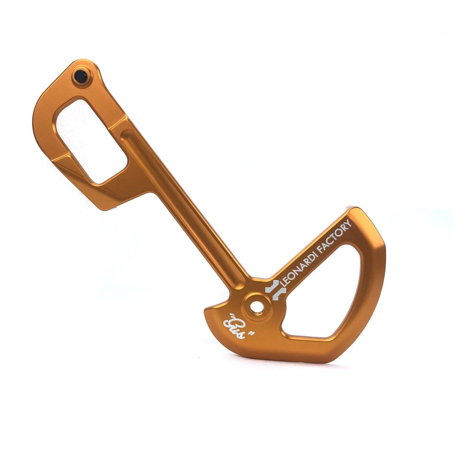 Leonardi Racing Leo Gus for Sram Eagle 12s inner cage