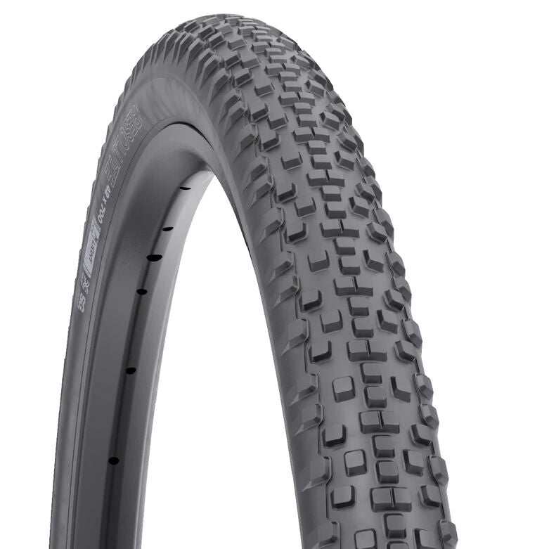WTB Resolute TCS LFR tire