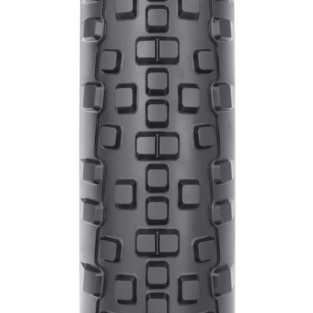 WTB Resolute TCS LFR tire