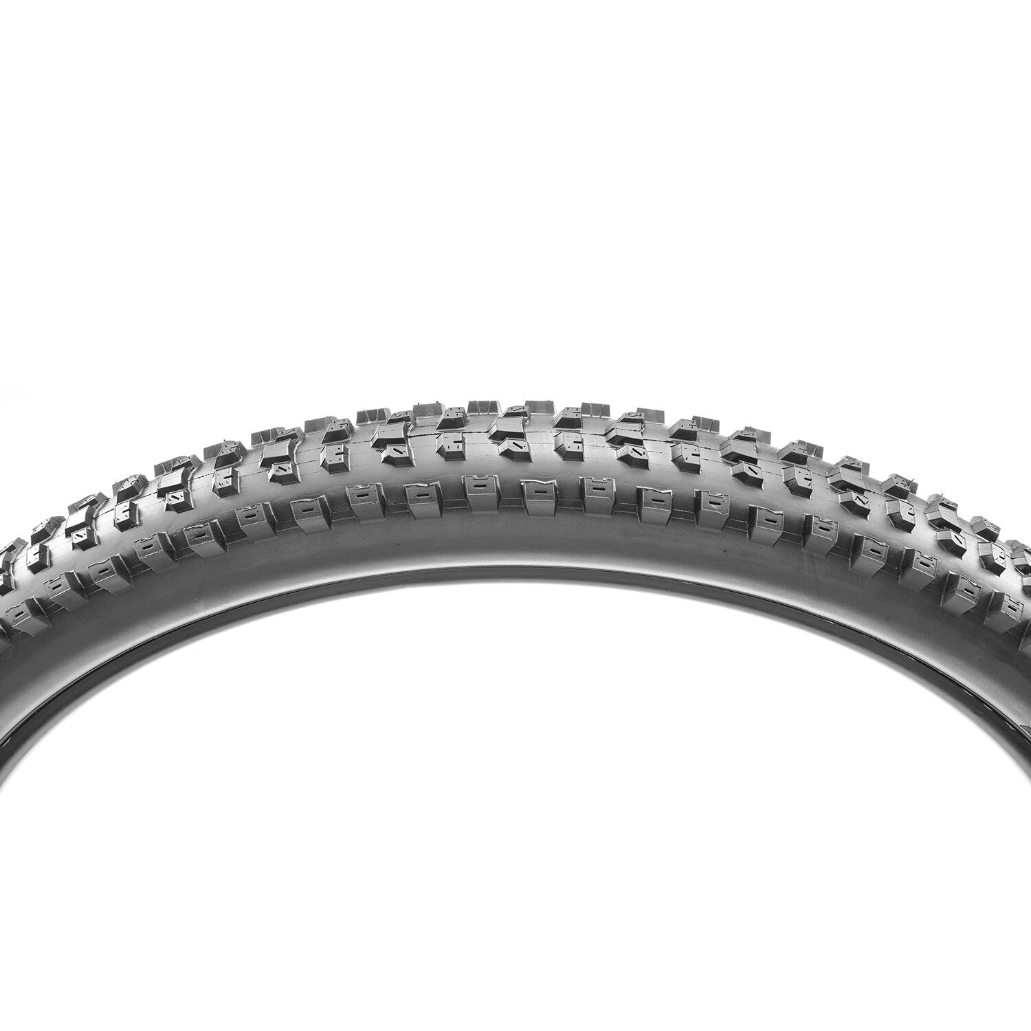 Maxxis Dissector Exo TL-Ready 3C Maxx Terra WT 29" tire