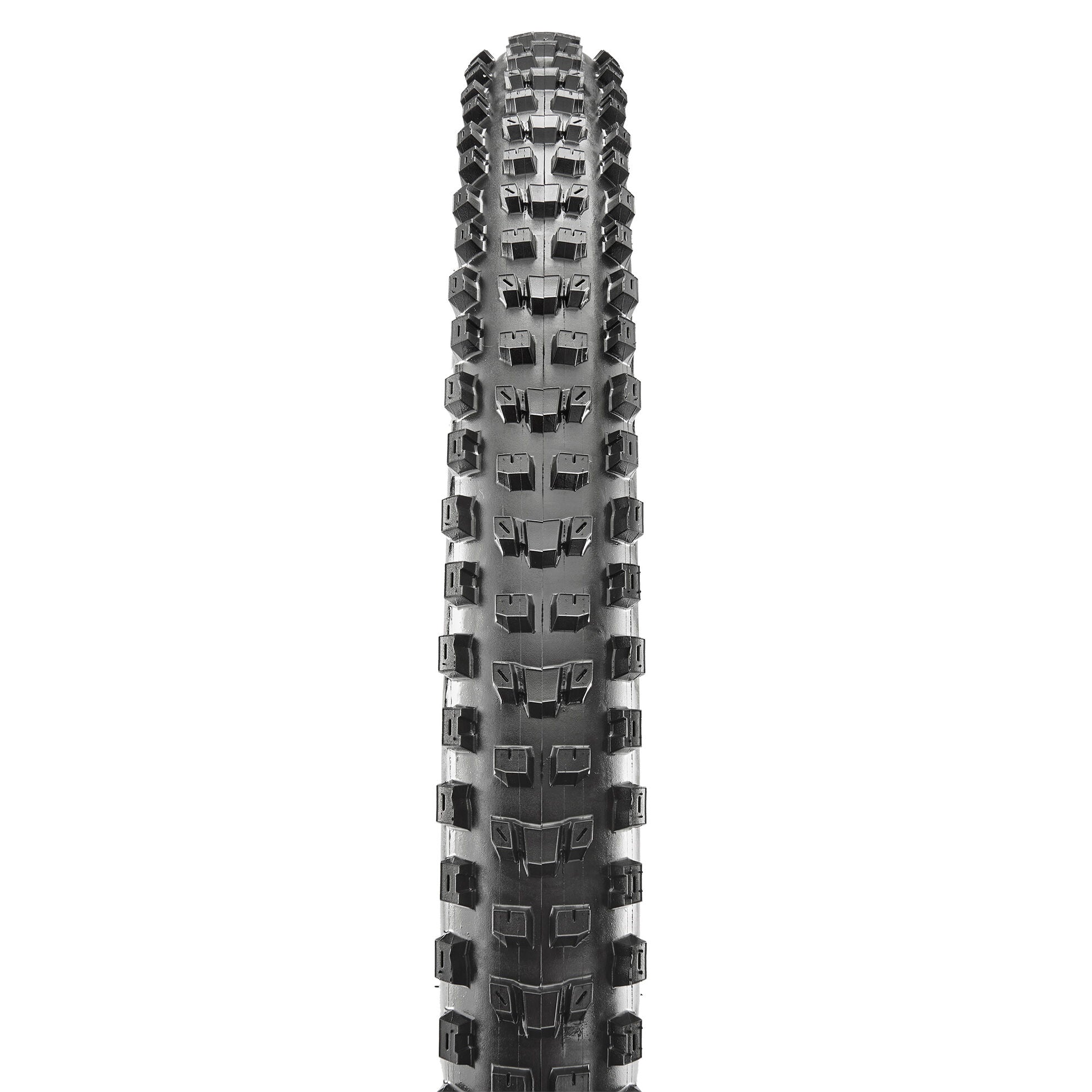Maxxis Dissector Exo TL-Ready 3C Maxx Terra WT 29" tire