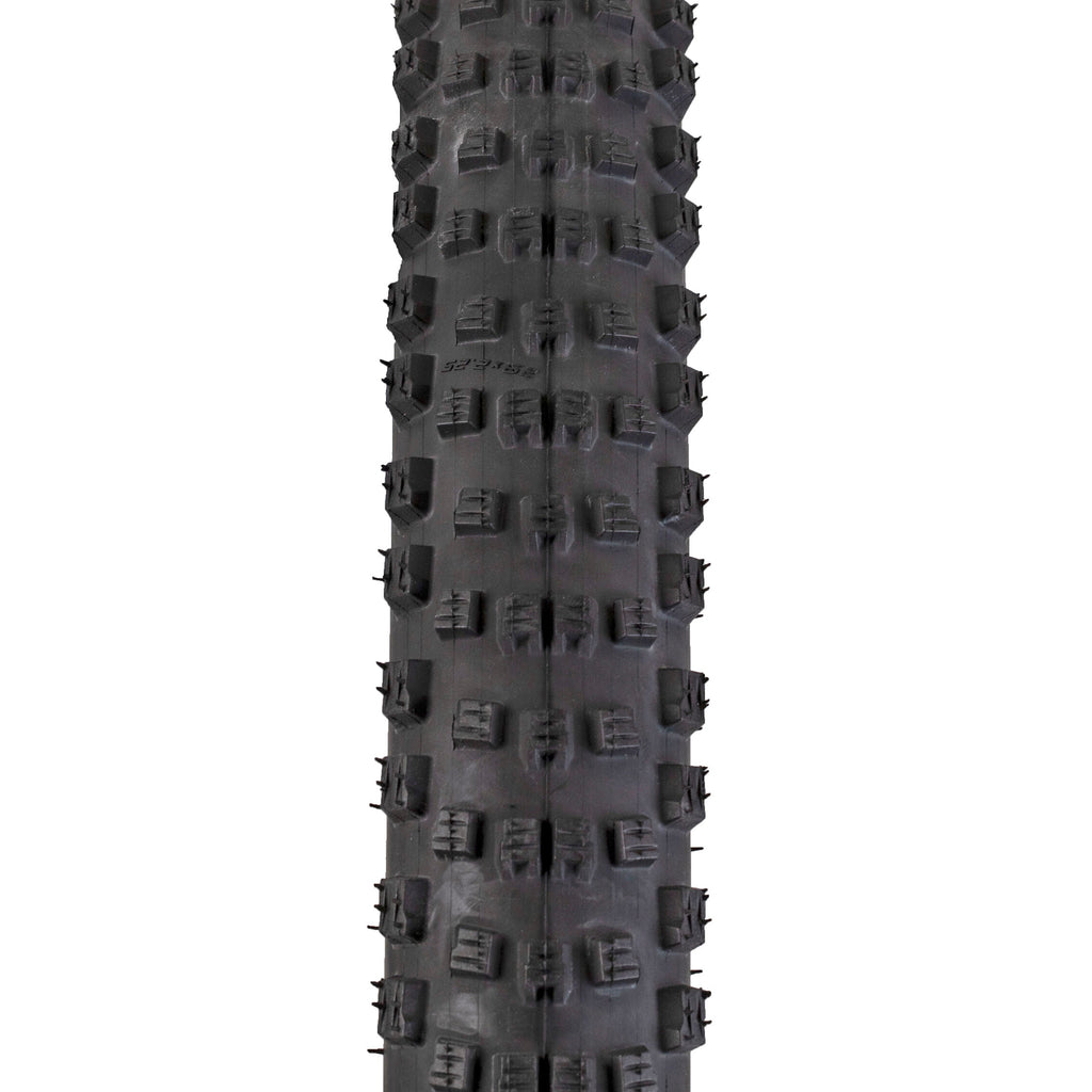 Schwalbe Wicked Will TLR Addix Performance 29" tyre