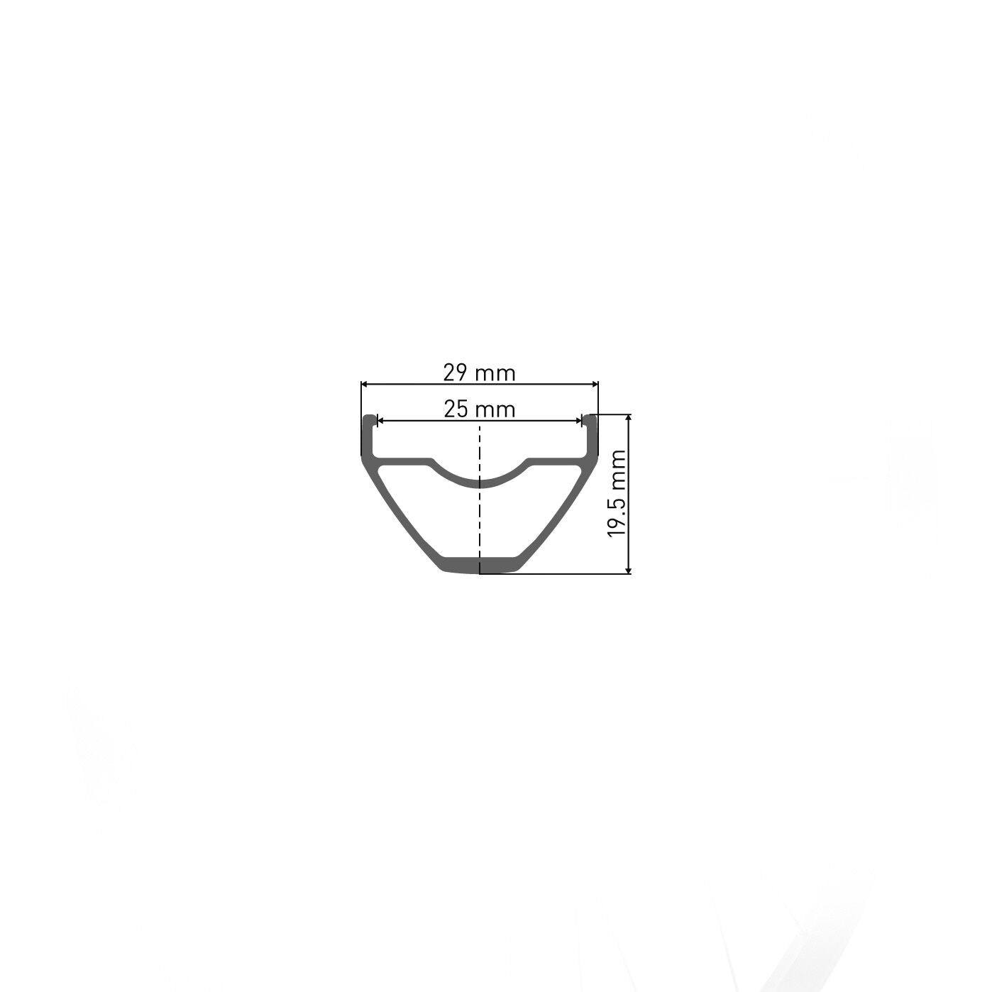 DT Swiss X 1900 Spline 29' Center Lock Boost front wheel