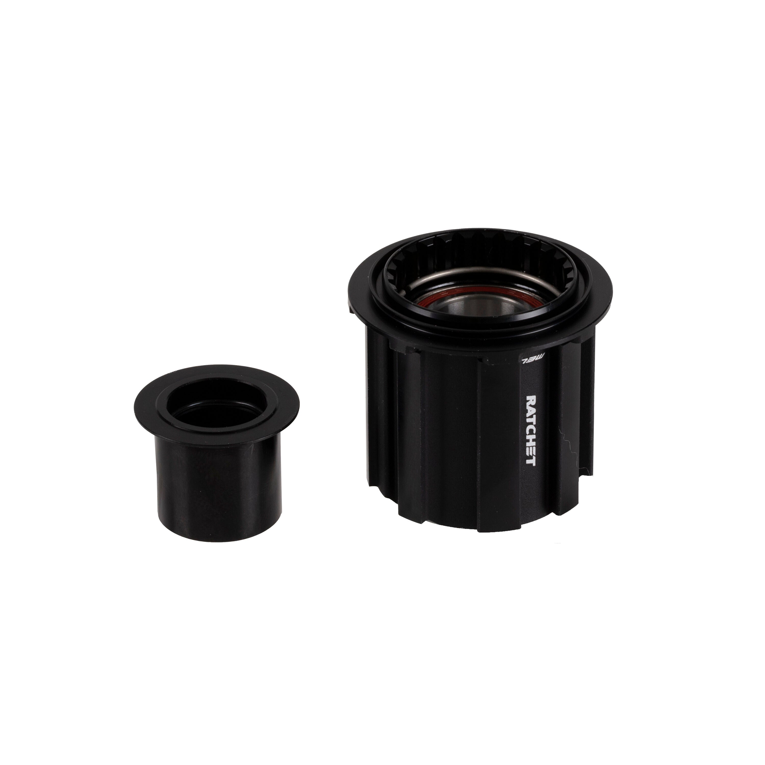 DT Swiss freehub Ratchet System Road Rotor Kit Campagnolo N3W
