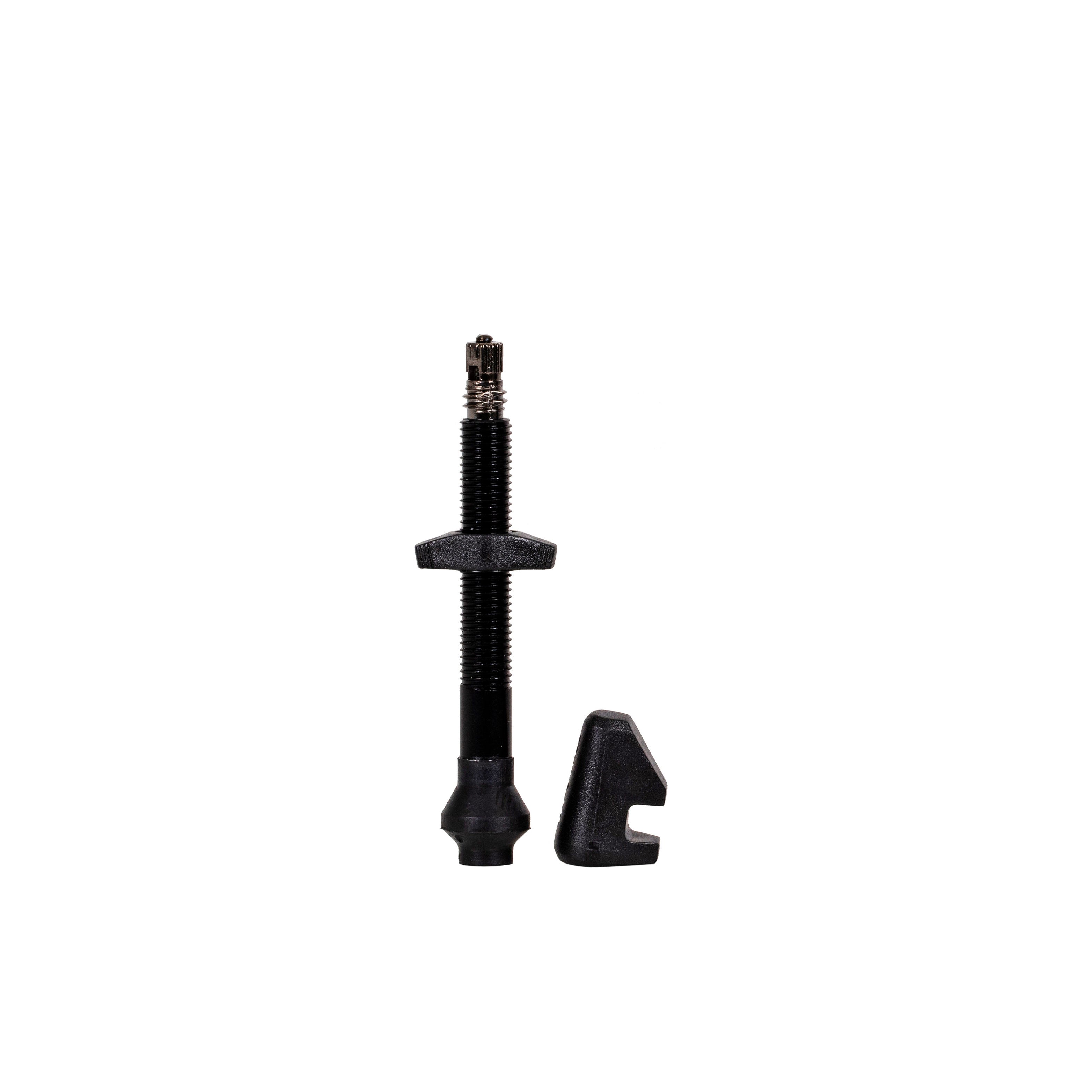 DT Swiss UST Tubeless valve