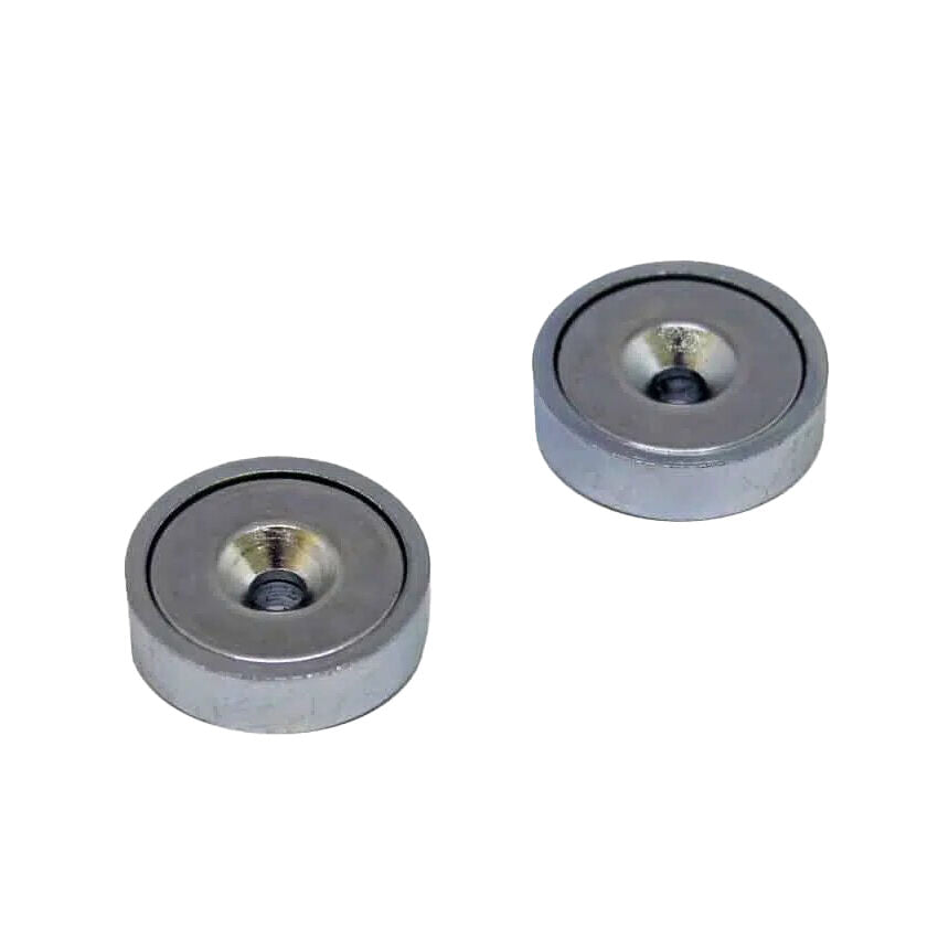 Magped pair of replacement magnets