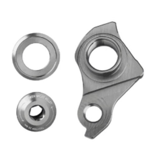 Switch Sram UDH Trek ABP derailleur hanger