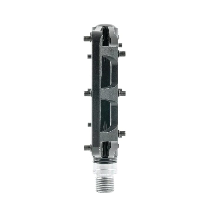 Switch Freeride pedals