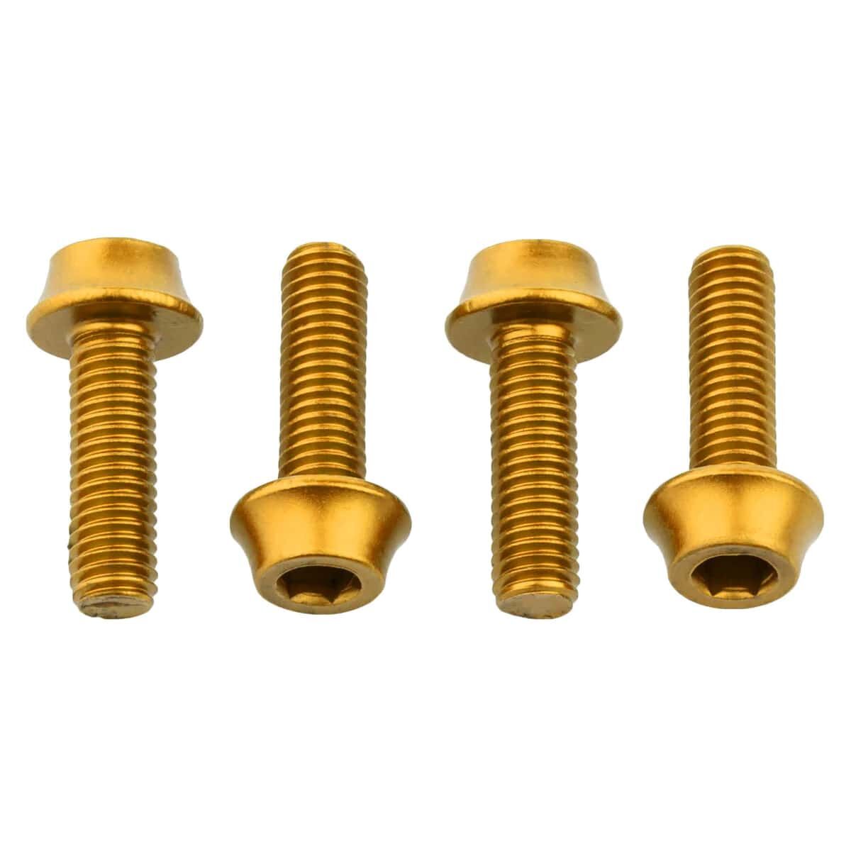 Wolf Tooth water bottle cage bolts