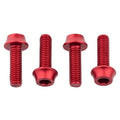 Wolf Tooth water bottle cage bolts