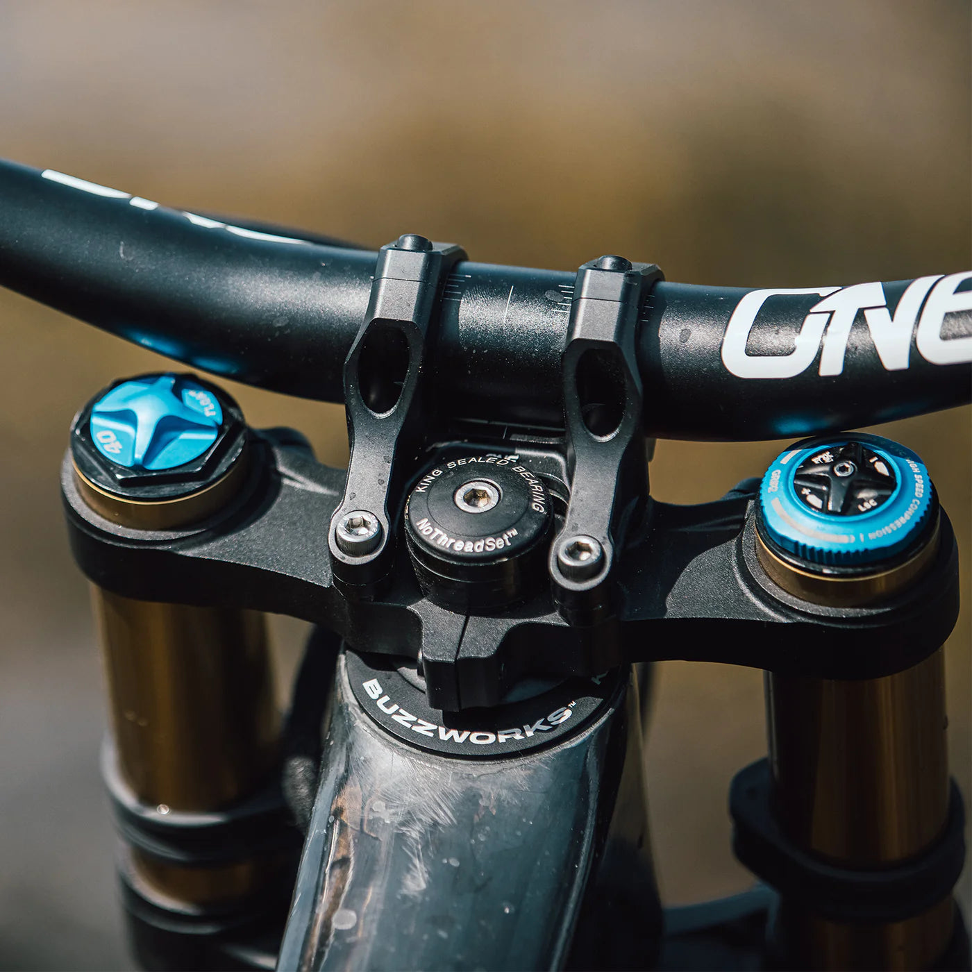 OneUp DH direct mount 35 stem