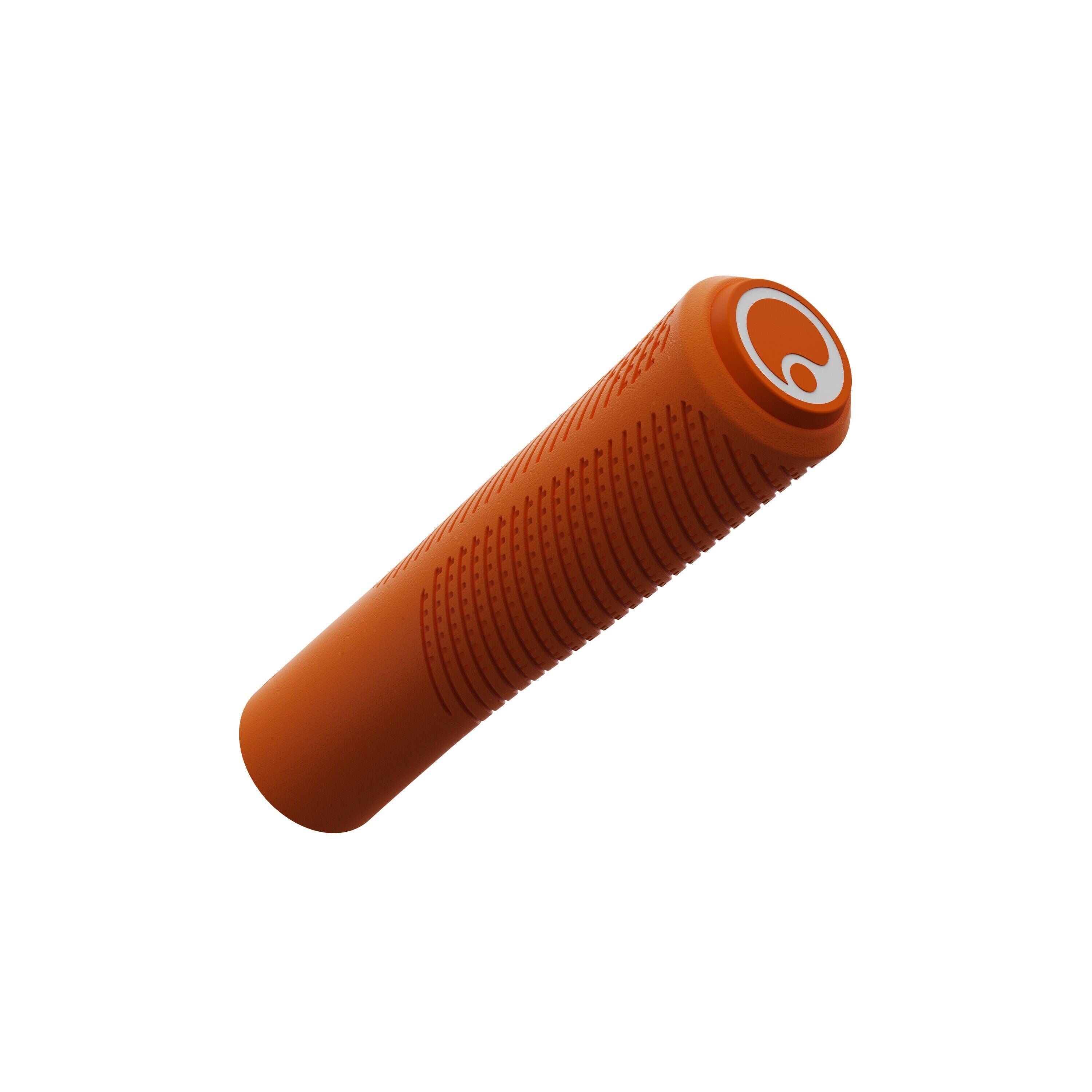 Ergon GXR grips