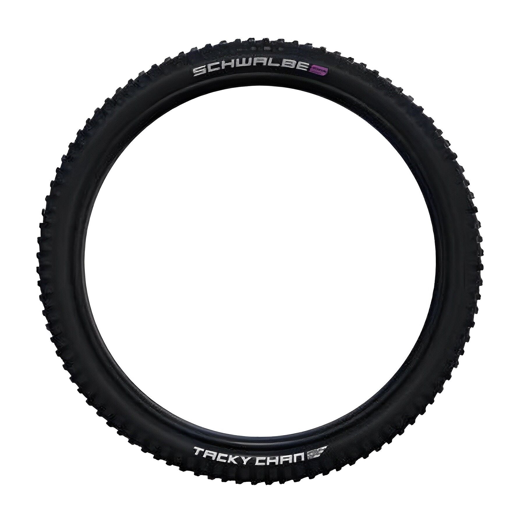 Schwalbe Tacky Chan Evo TL-Easy Super Trail Addix Ultra Soft 29 tire