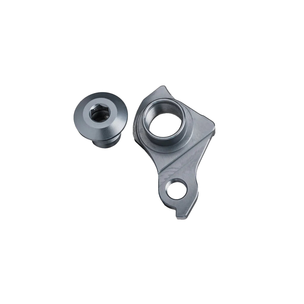 Switch Sram UDH derailleur hanger