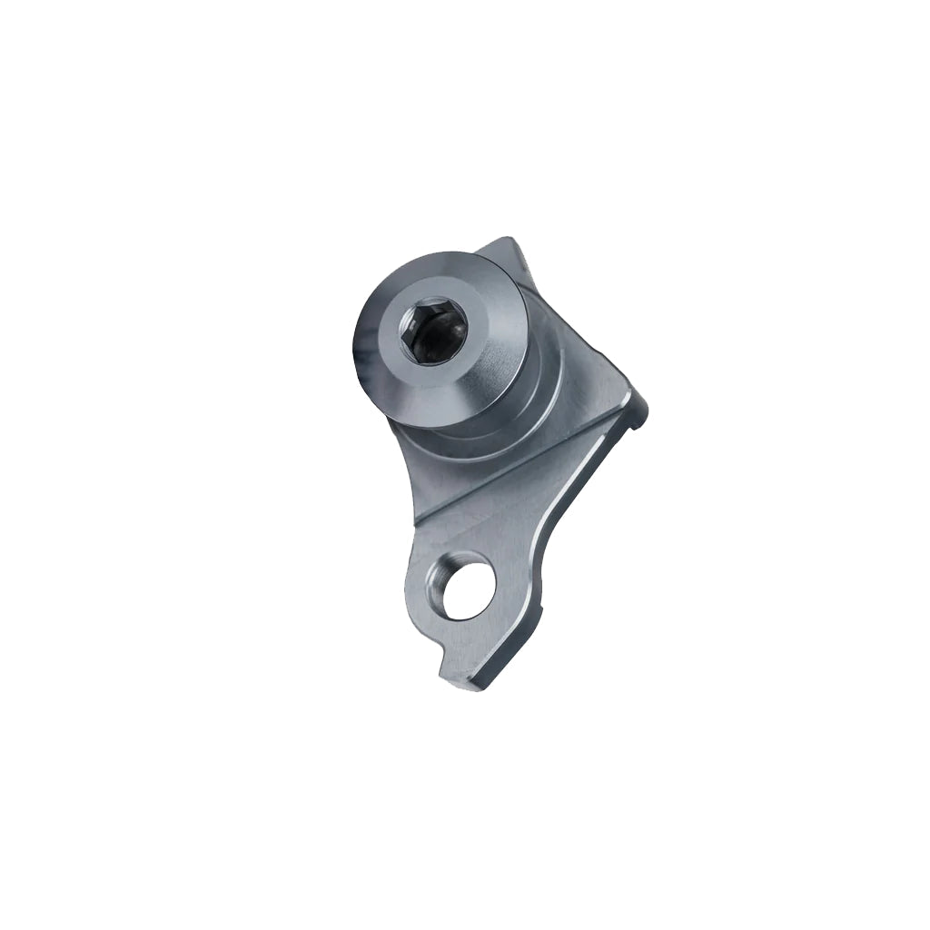 Switch Sram UDH derailleur hanger