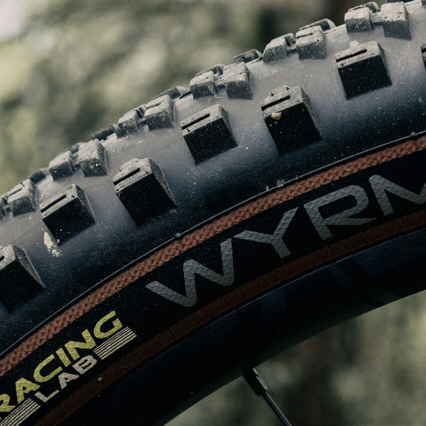 Hutchinson Wyrm Tubless Ready tyre
