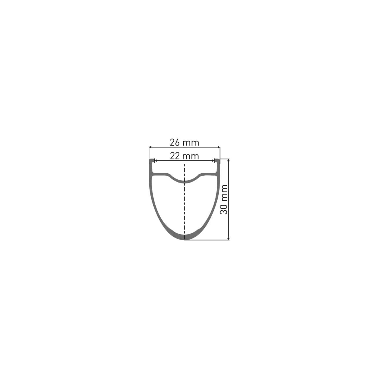DT Swiss E 1800 Spline 30 Disc rear wheel