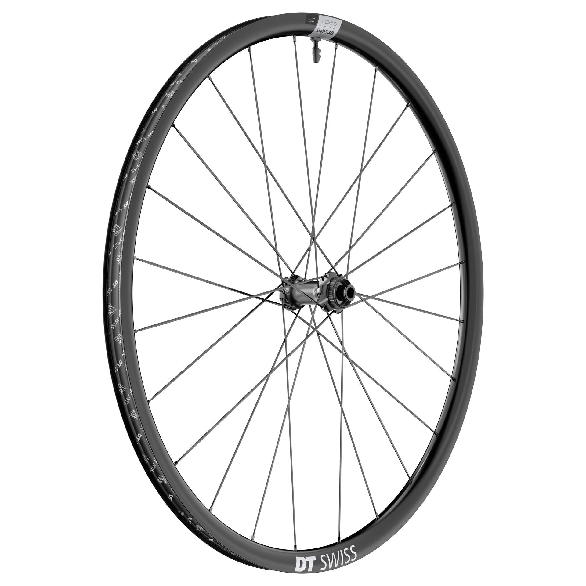 DT Swiss G 1800 Spline 25 Disc front wheel