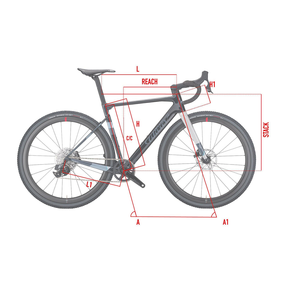 Wilier Triestina Rave SL Gravel Setup Sram Force D2 XPLR AXS + Miche Graff Allroad 2026