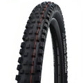 Schwalbe Magic Mary Evo TL-Easy Super Trail Addix Soft 29"
