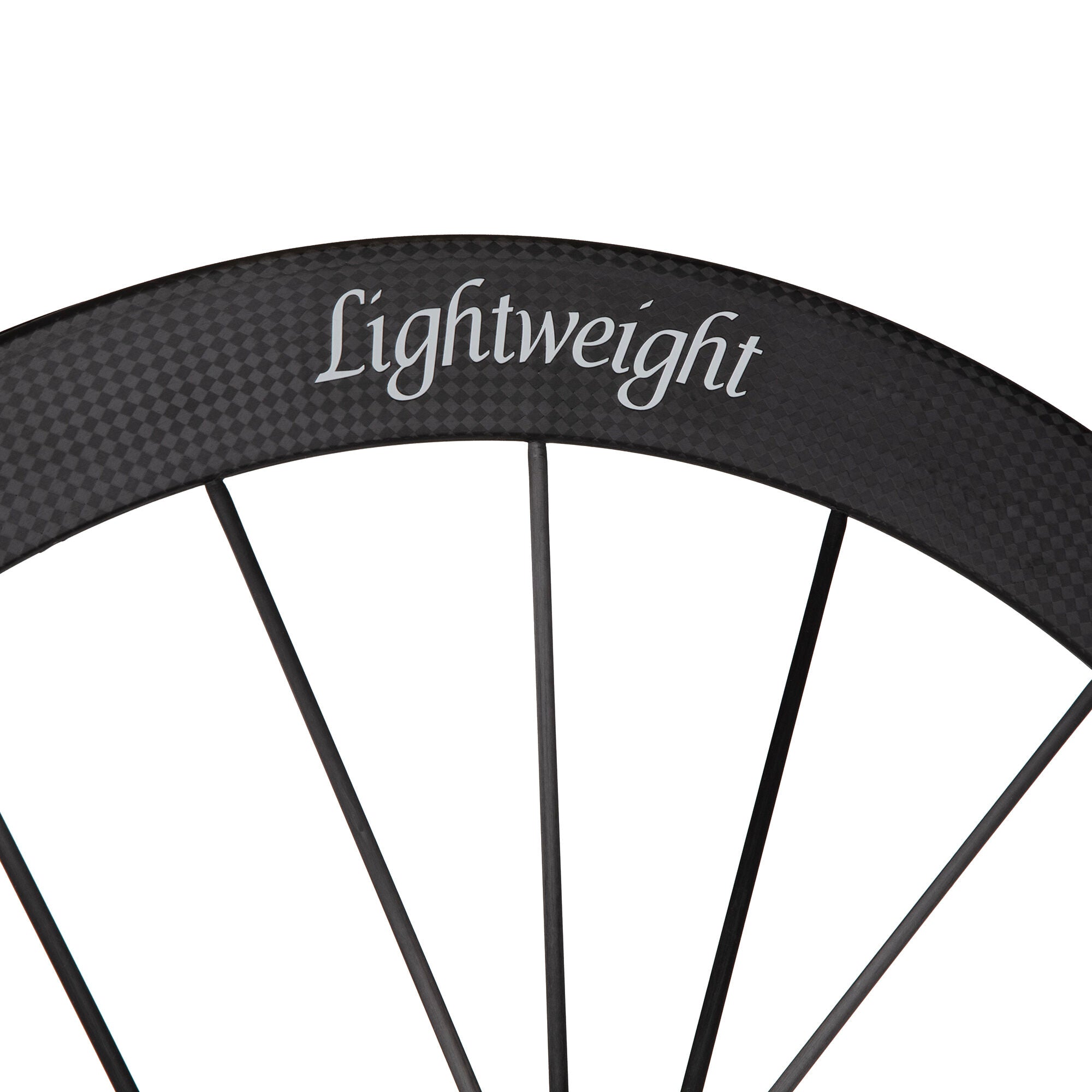 Lightweight Obermayer EVO Carbon tubeless Disc front wheel