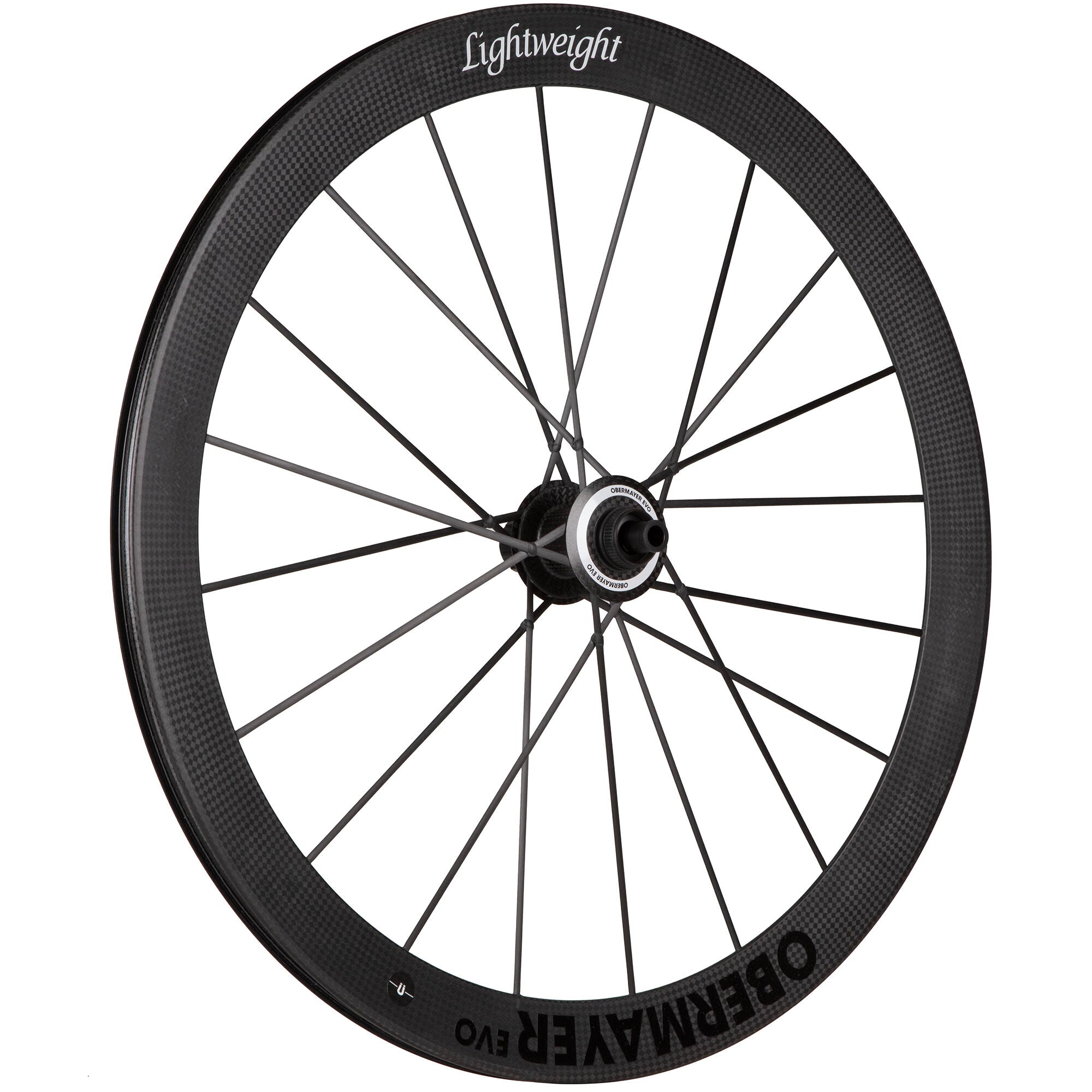 Lightweight Obermayer EVO Carbon tubeless Disc rear wheel