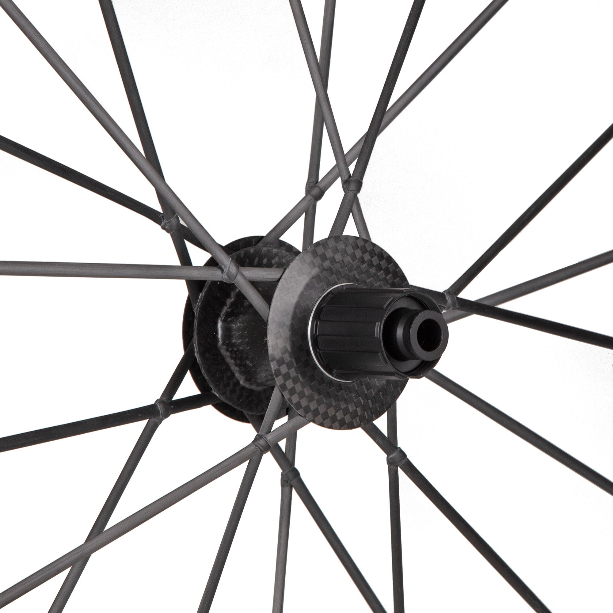 Lightweight Obermayer EVO Carbon tubeless Disc rear wheel
