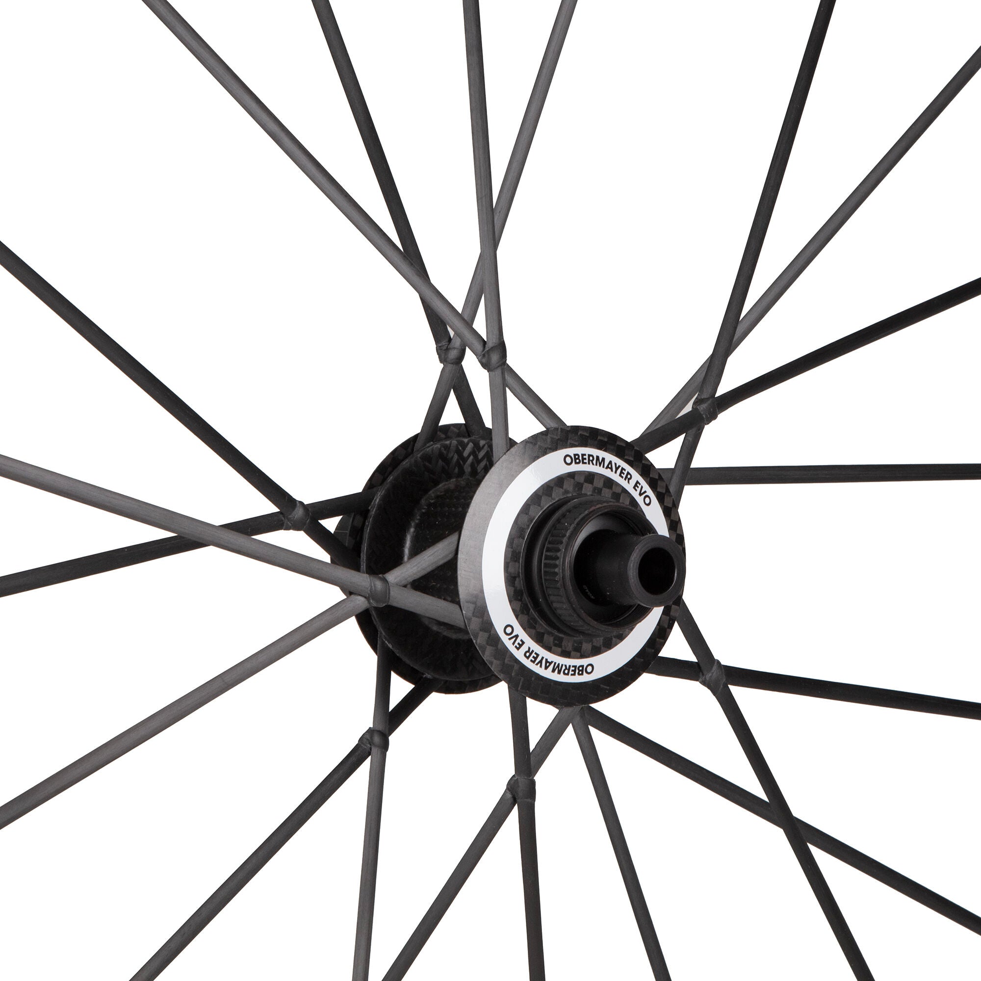 Lightweight Obermayer EVO Carbon tubeless Disc rear wheel