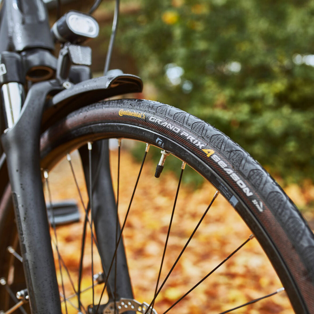 Continental Grand Prix 4-Season tire