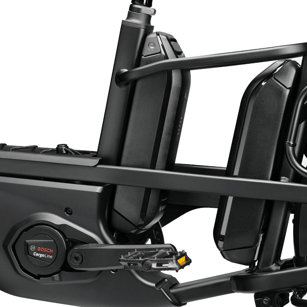 Cannondale Cargowagen Neo 2